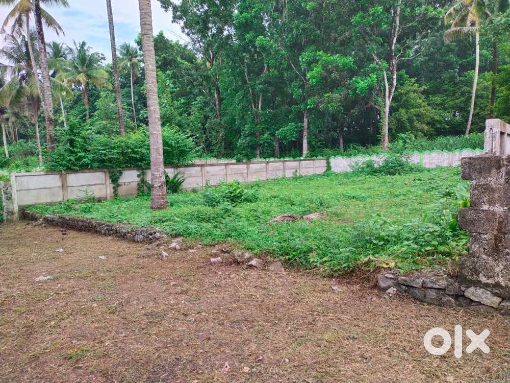 CHALAKUDY, MELOOR NEAR NIRMALA ENGINEERING COLLEGE 6 CENT HOUSE PLOT F