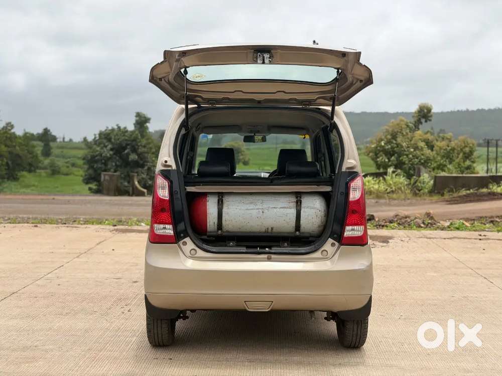 Maruti Suzuki Wagon R 2014 Lxi Cng