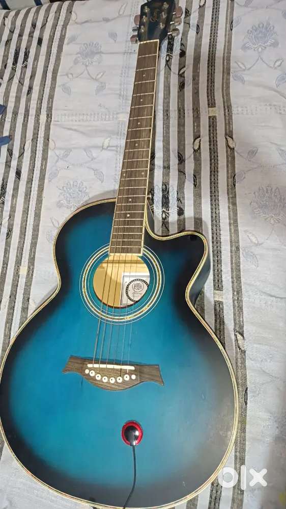 Blue Acoustic Guitar for Sale &ndash; Only 6 Months Old