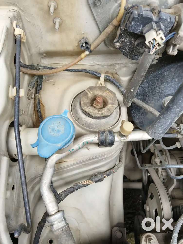 Engine Seal Ase Sob