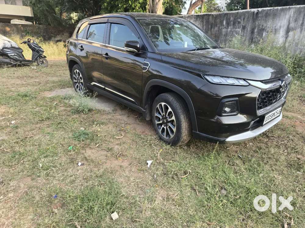 Model 2023 Jul Well Condition Single Hand Use