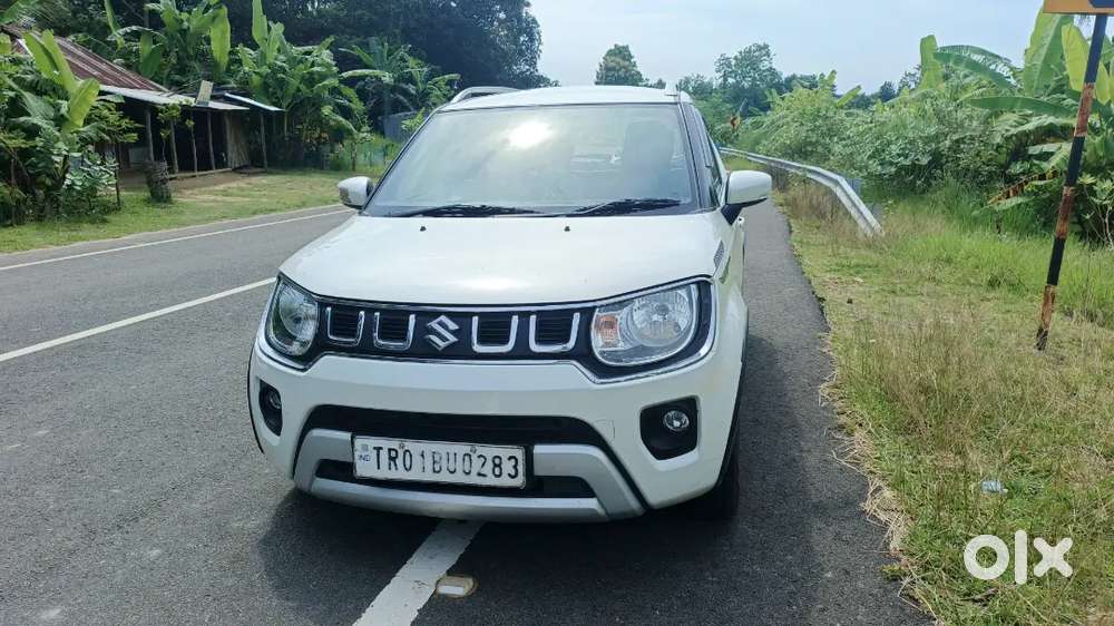 Maruti Suzuki Ignis 2023 Delta Petrol Under Emi 10900-38 Ta