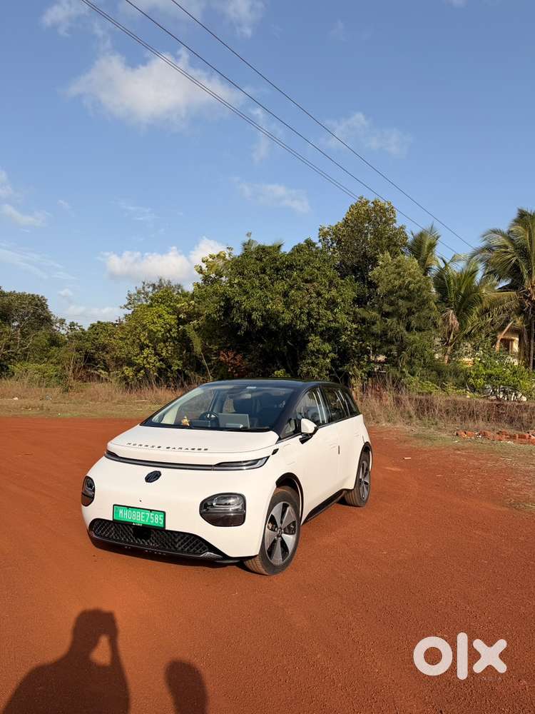 Mg Windsor Ev 2025 Year Model