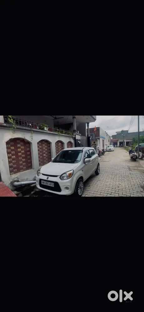 Alto 800 Brand New