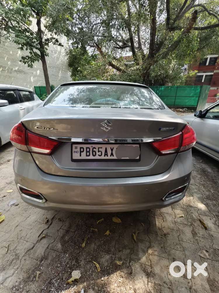 Maruti Suzuki Ciaz Alpha 2020 Petrol Manual Excellent Condition