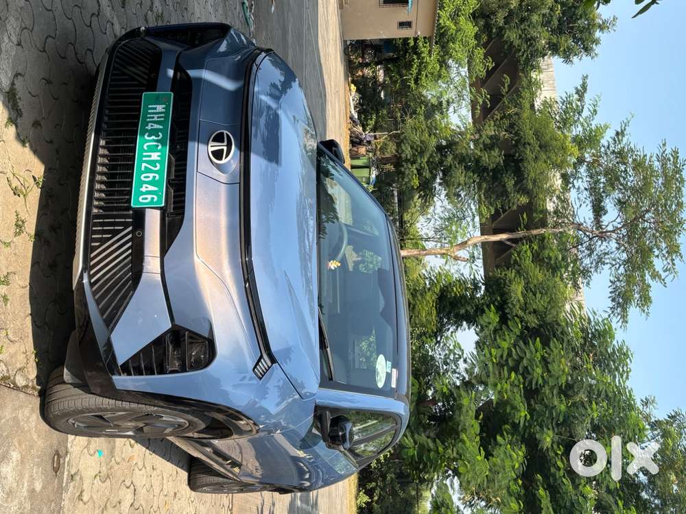 Tata Curvv Ev 2024