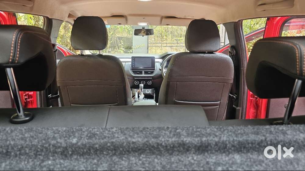 One Year Old Kiger For Sale