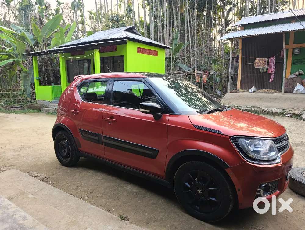 Maruti Suzuki Ignis Alpha 2017 Petrol Good Condition