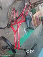 Gang new condition new brand bicycle my favourite cycle