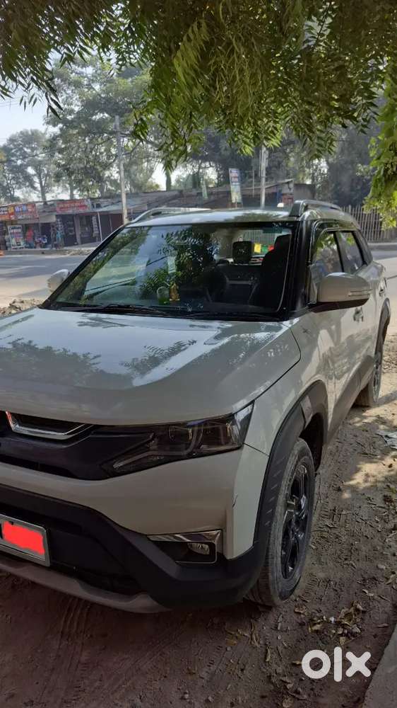 Maruti Suzuki Brezza Zxi 2024