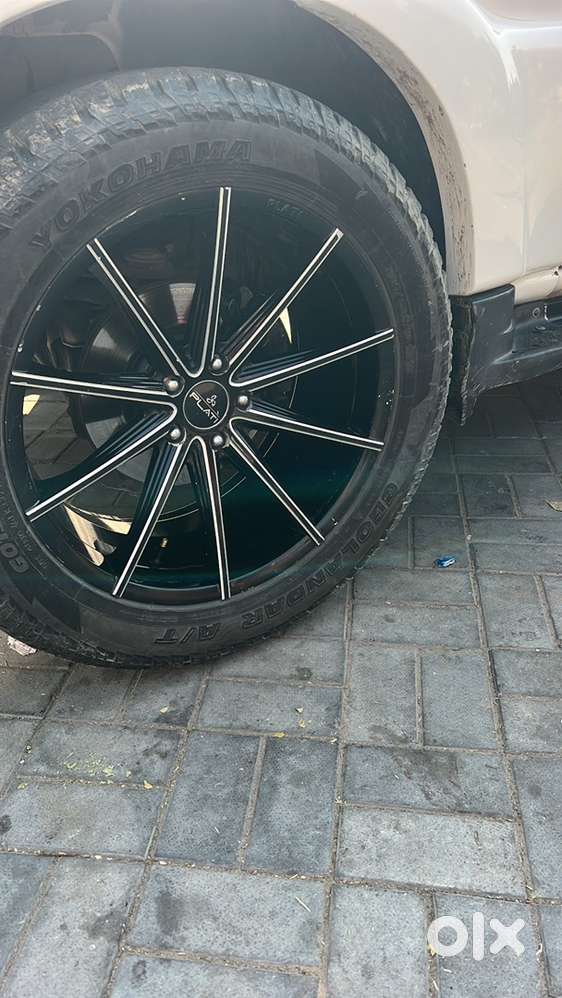 S10 Scorpio