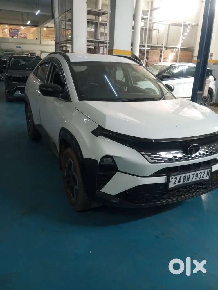 Tata Curvv 2024 Drives Ahead
