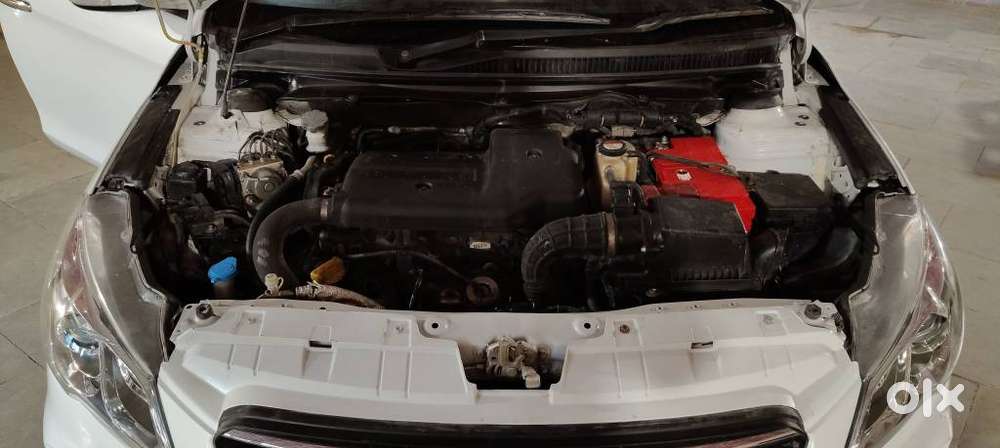 Maruti Suzuki Ciaz 2014-2017 Zdi Plus, 2017, Diesel