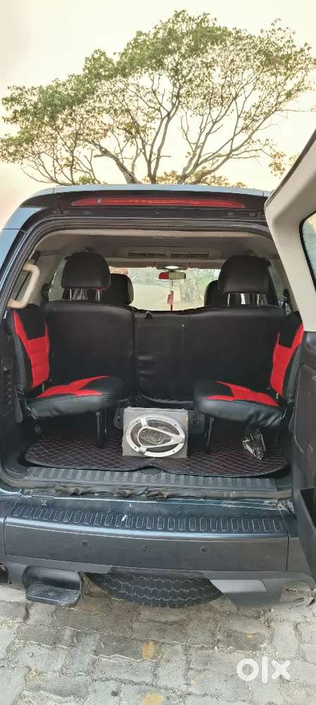 Family Cartata Safari