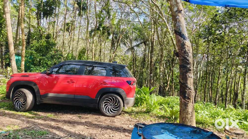 Maruti Suzuki Brezza 2023 Petrol 30000 Km Driven