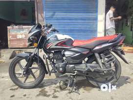 Olx 2025 honda shine