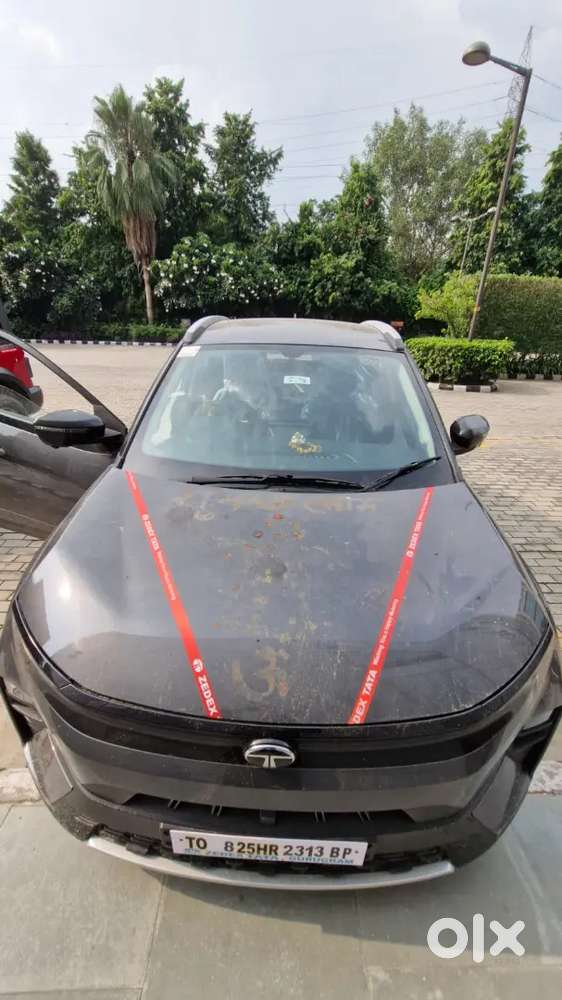 Tata Nexon 2025 Petrol Well Maintained Automatic