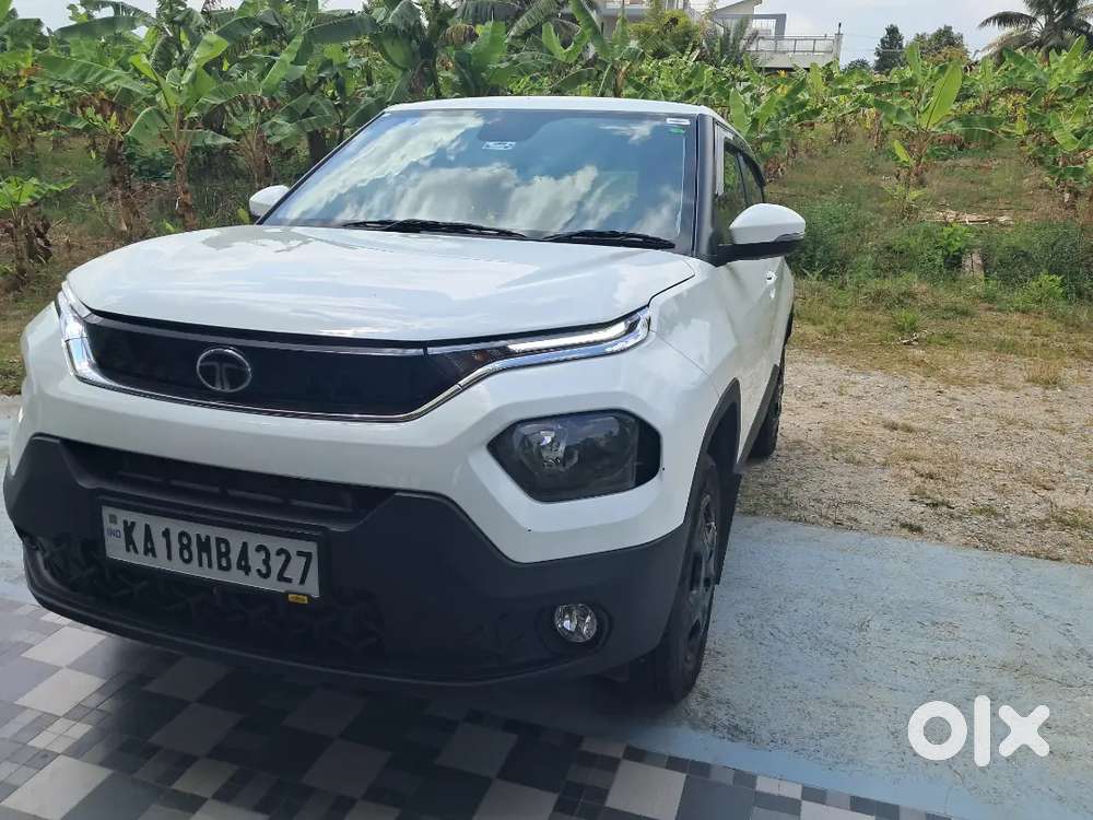 Accomplish Pluch Top 2 Very Ant Bat An Start