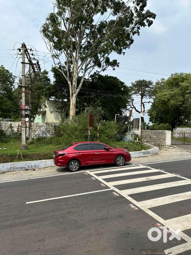 Honda City Petrol 2020