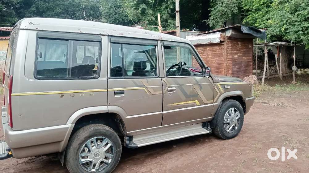 Sumo Gold Di