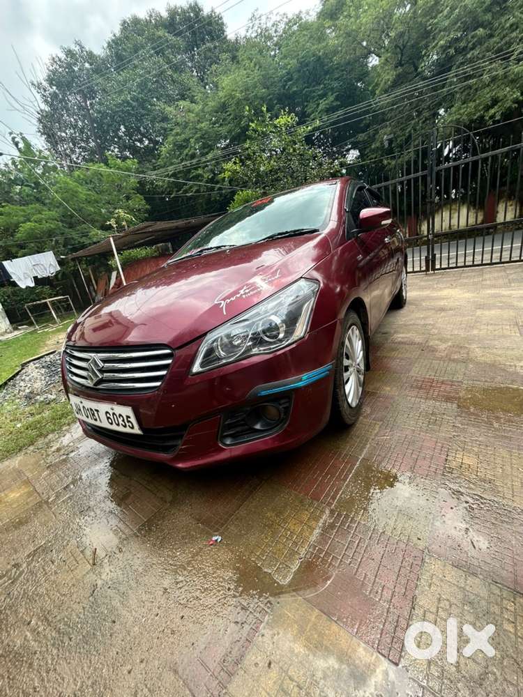Maruti Ciaz Diesel 2016 Model