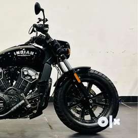 Indian best sale scout olx