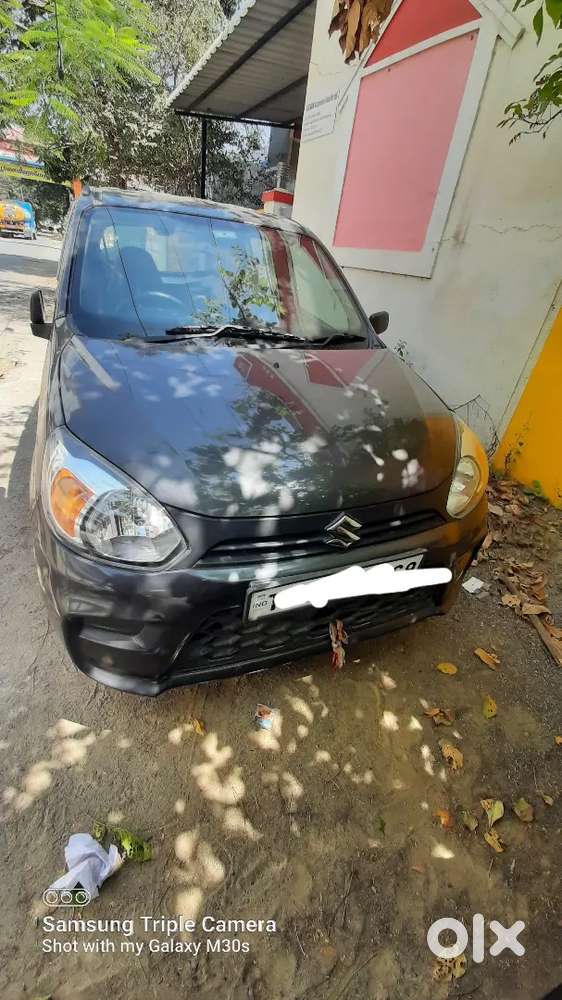 Alto 800 Car Sale