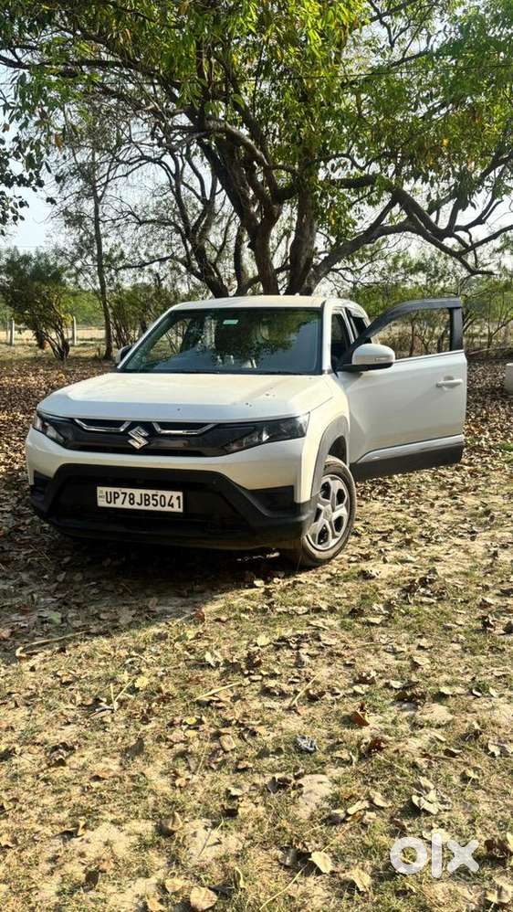 Maruti Suzuki Hybrid 2025