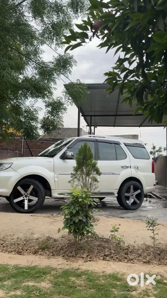 Safari Storme 20 Inch Alloy