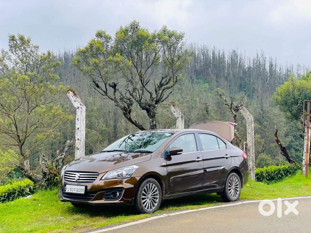 Used Maruti Ciaz 2017