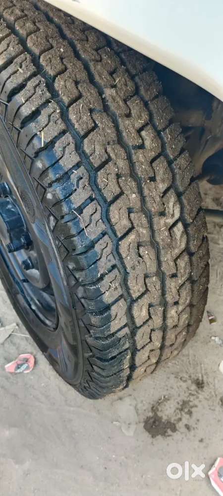 Bolero For Sale