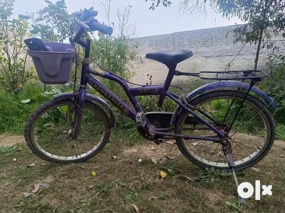 Sundancer discount cycle price