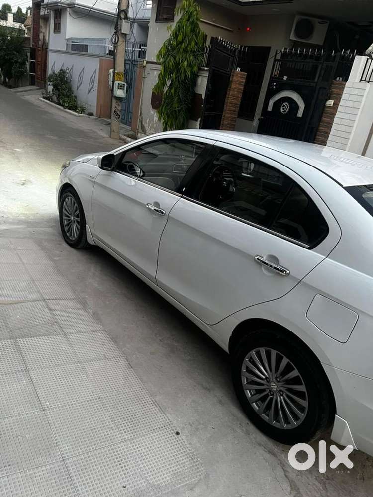 Maruti Suzuki Ciaz White Top Alpha In Brand New Conditio