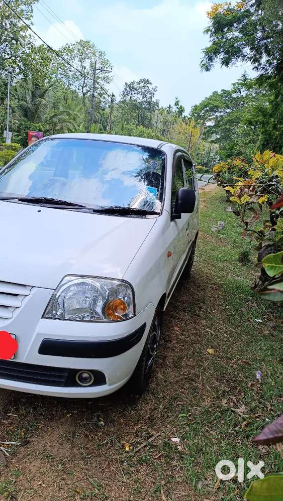 Hyundai Santro Xing 2010 Petrol