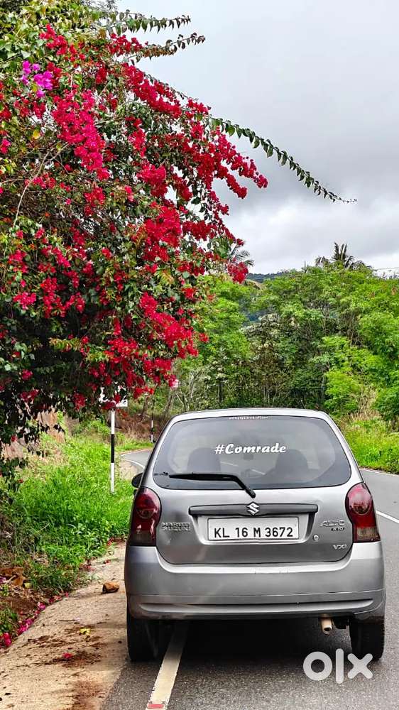 Maruti Suzuki Alto 2014