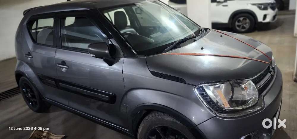 Ignis Amt 2018