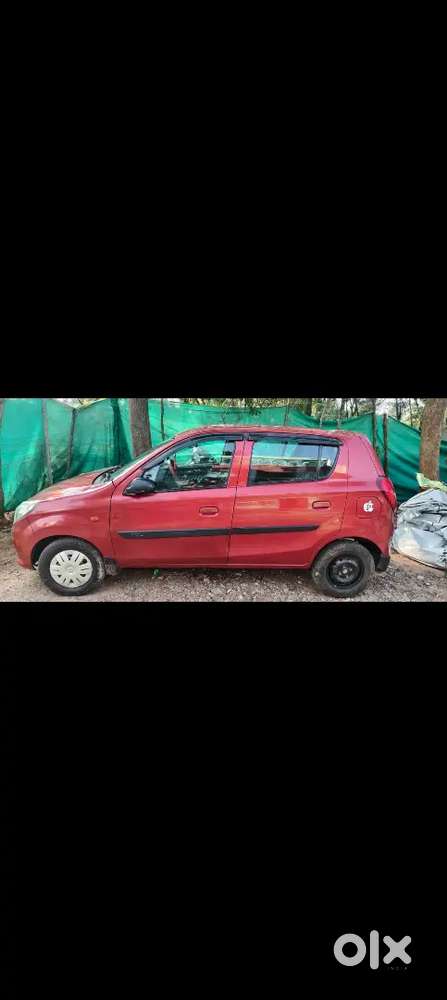 Alto 800 Budget Car