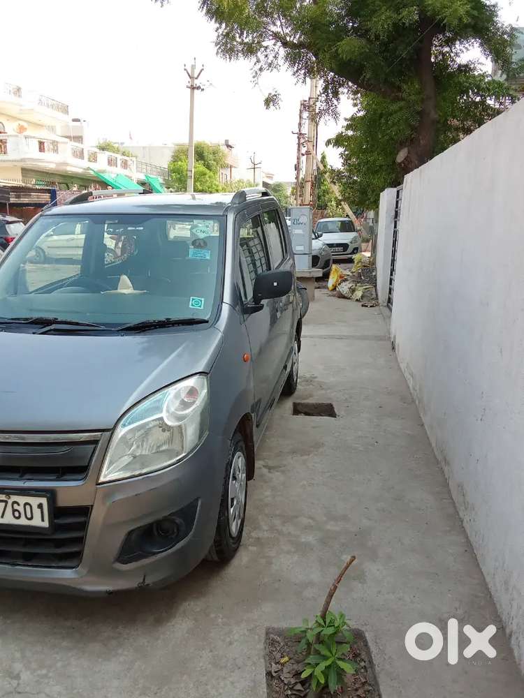 Wagnor Company Fitted Green Cng
