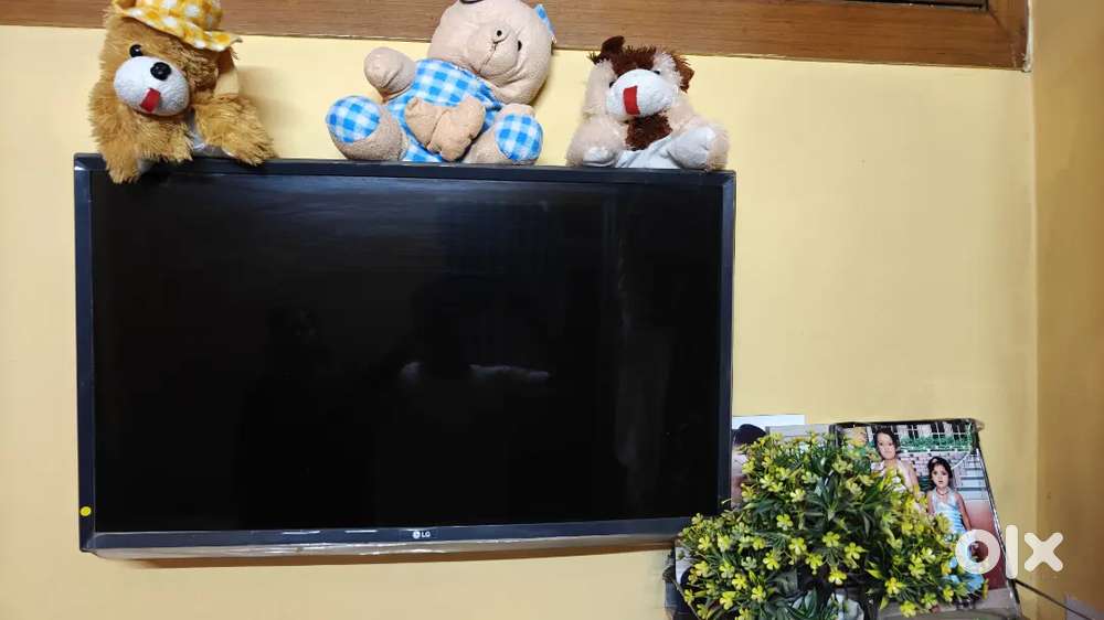 Lg TV ( 32 inch )