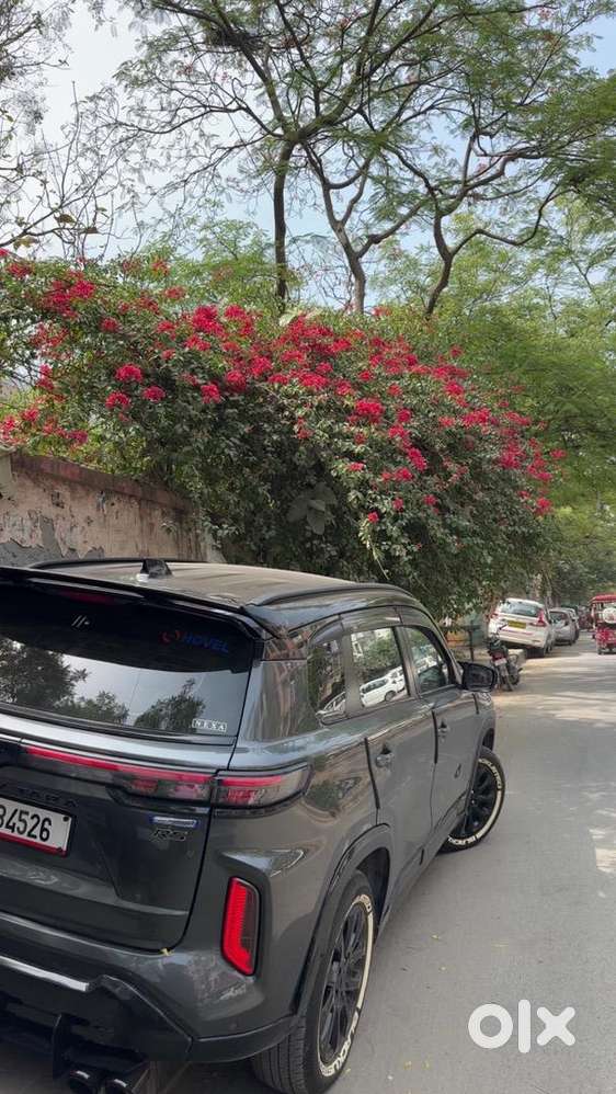 Maruti Suzuki Grand Vitara 2023 Petrol Well Maintained