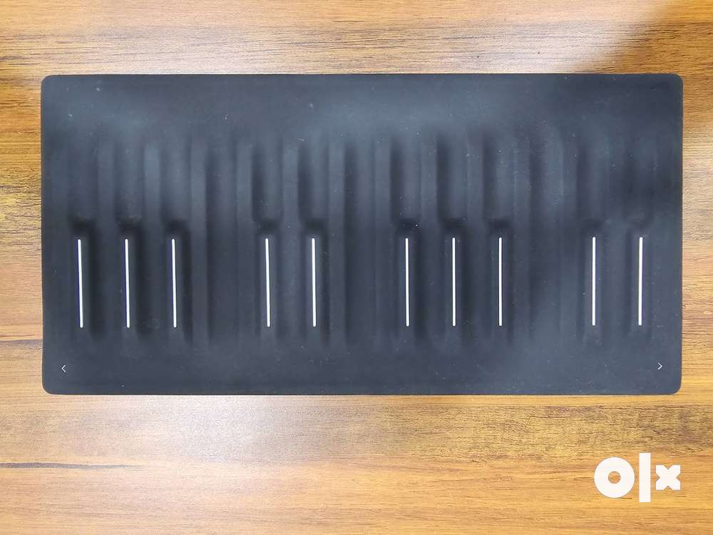 低価格 Roli Seaboard Block 中古 希少 DTM/DAW - fleurusentransition.be