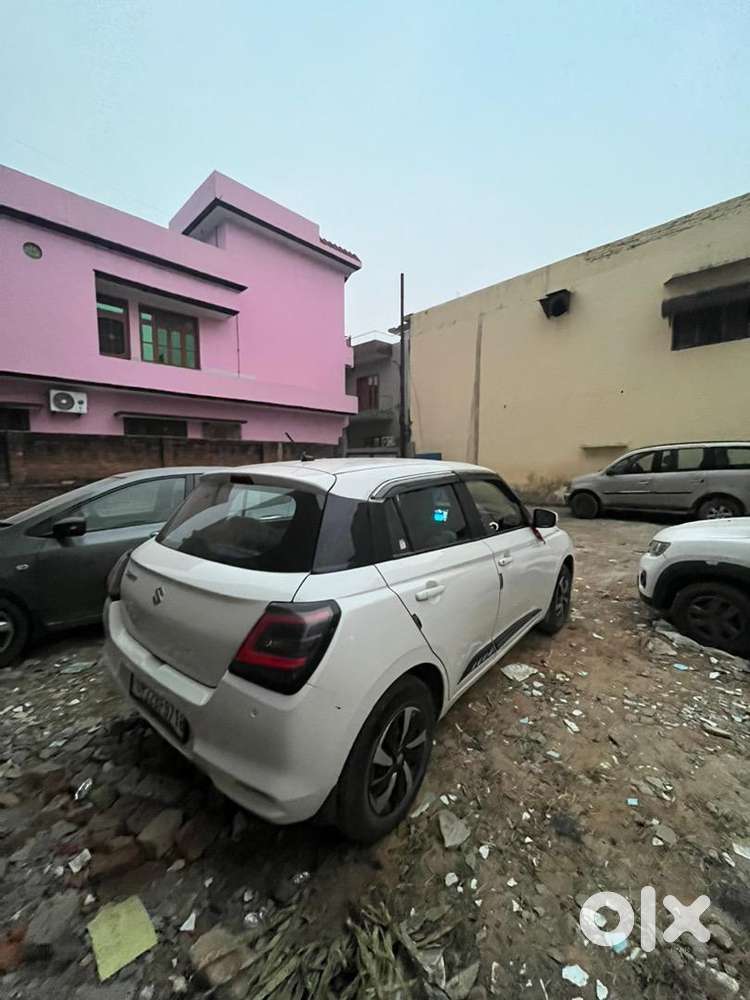 11 Months Old Swift 2025