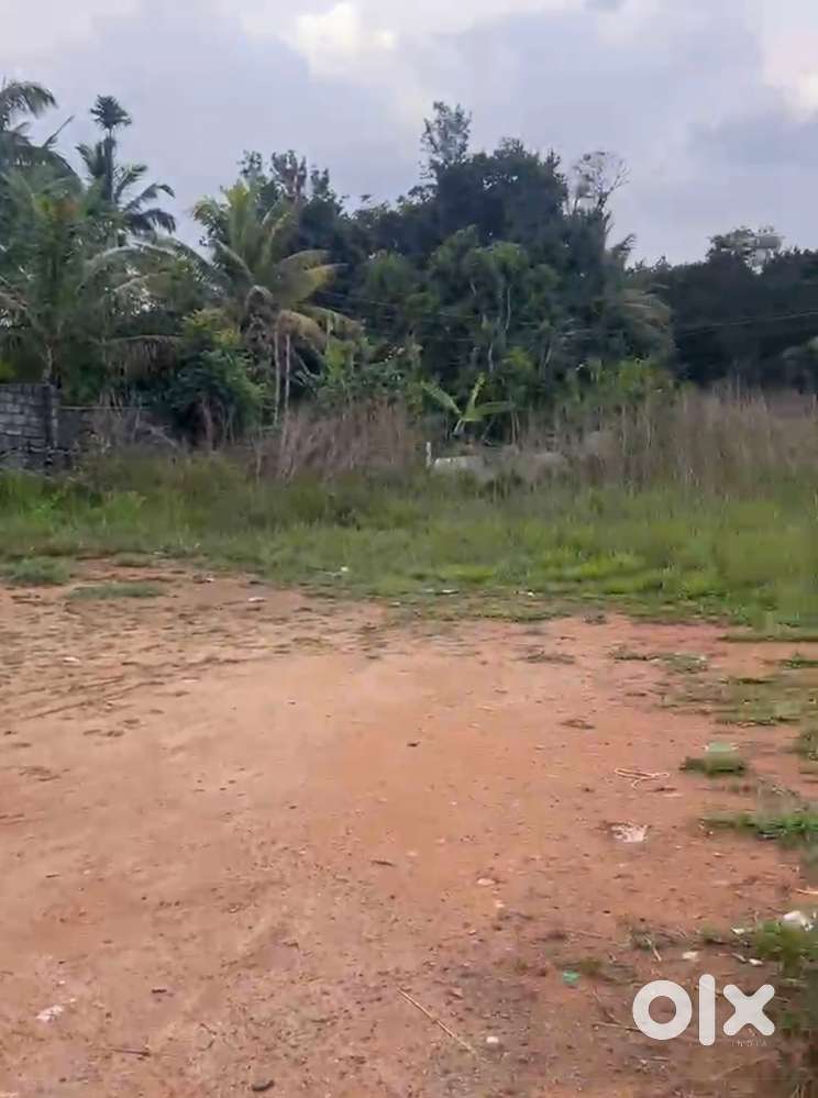 Road side plot for rent at Kattappana. Suitable for starting Nursery