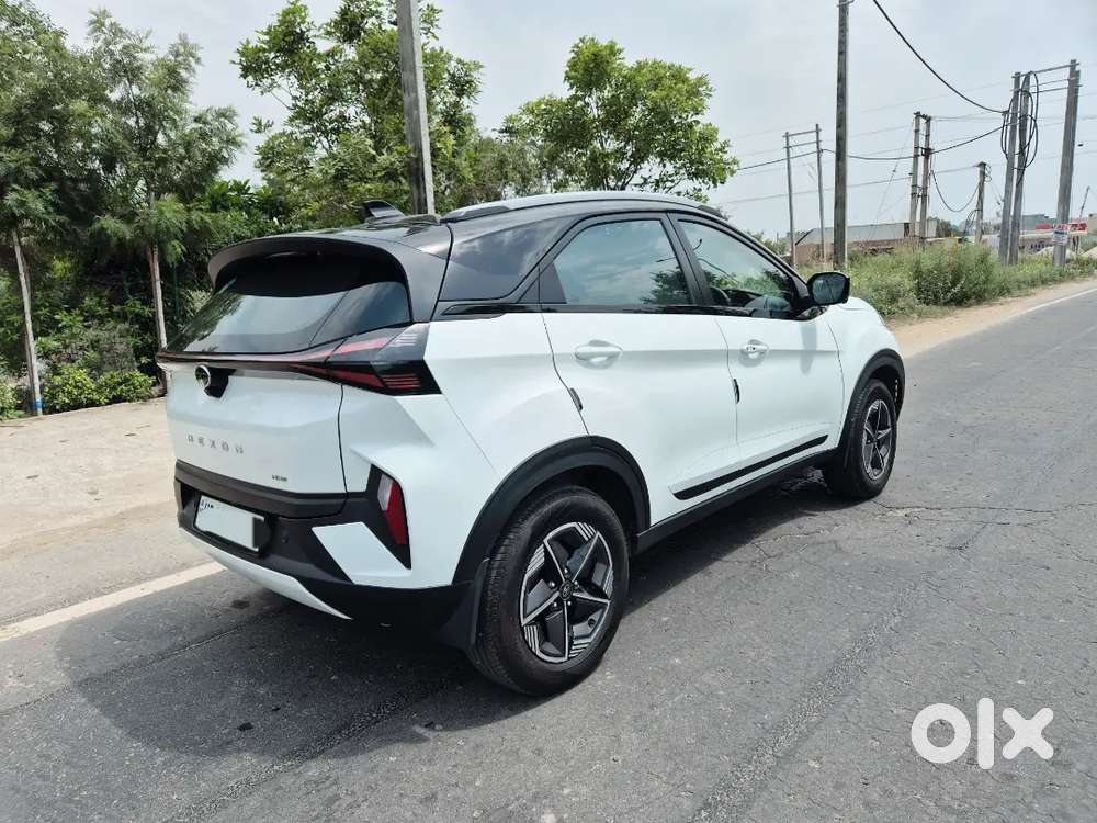Nexon Cng Creative Plus Ps Dt