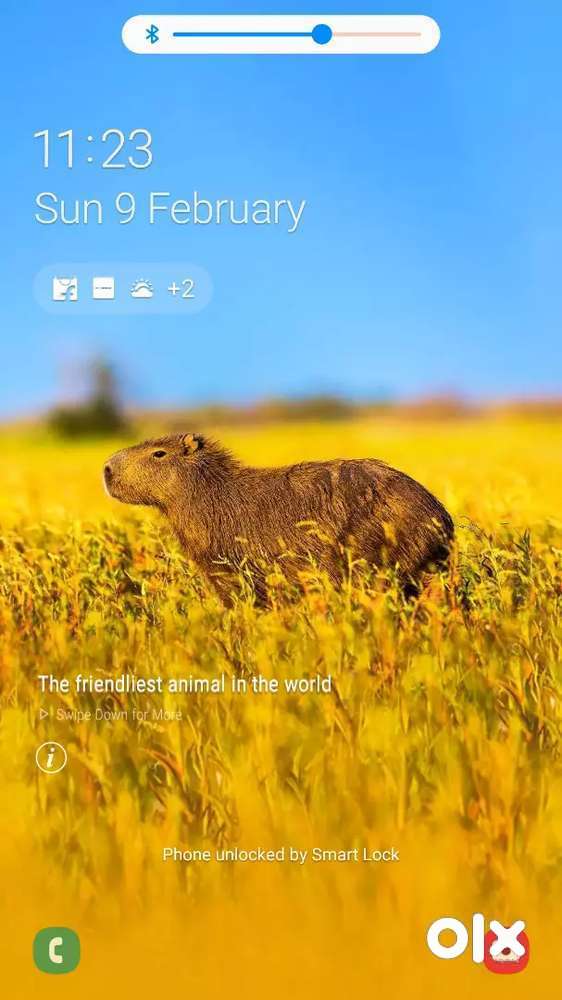 Maruti Suzuki Wagon R