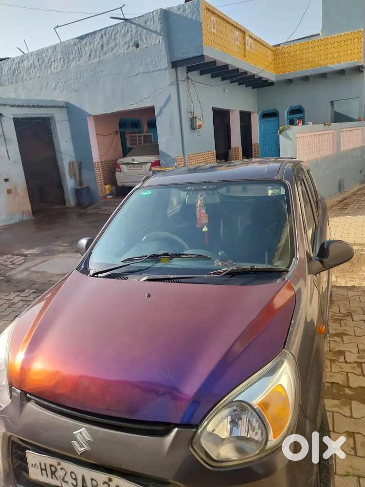 Alto Pike Palto