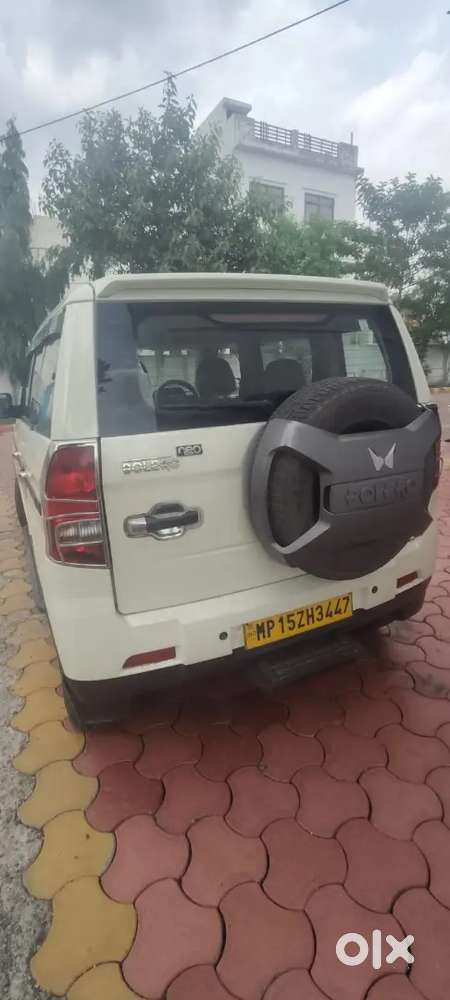 New Car Parches