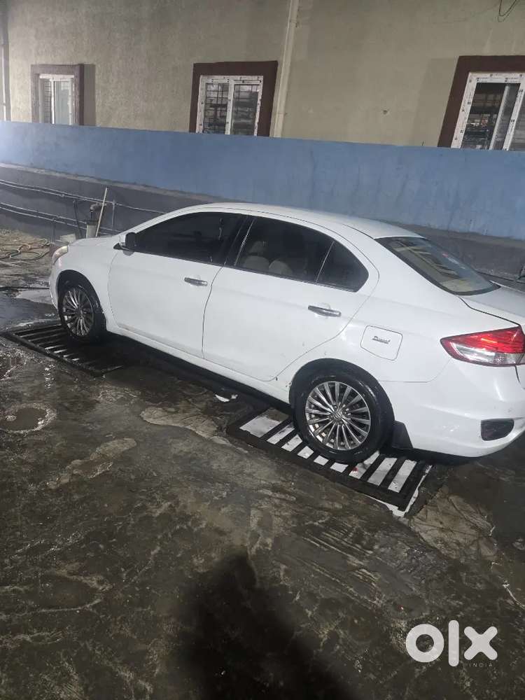 Ciaz Diesel Maruti 2017