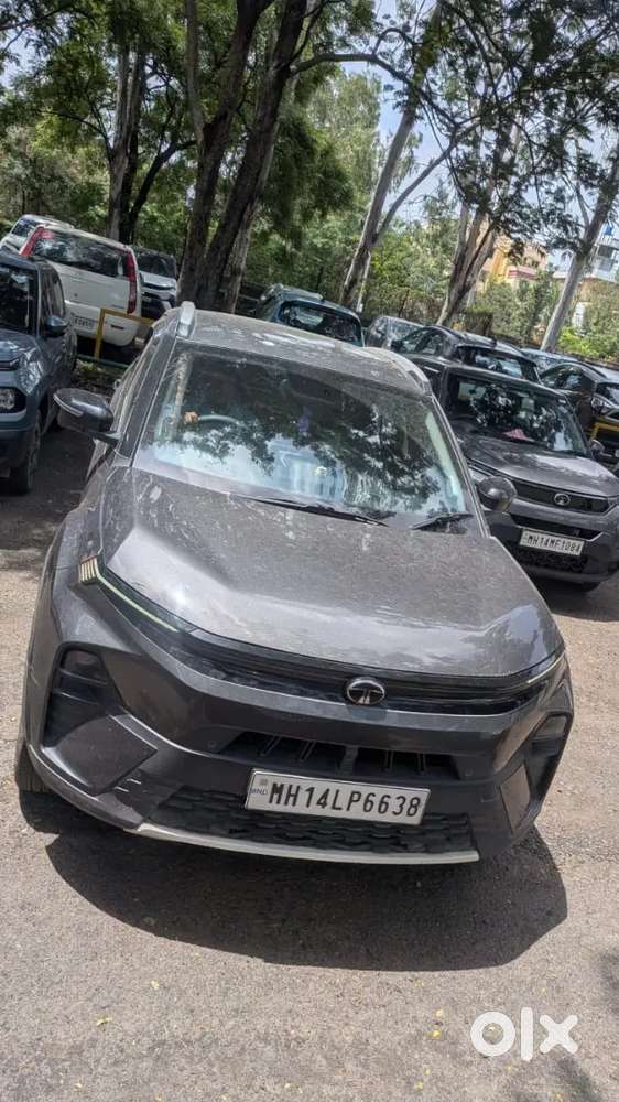 Tata Nexon Creative Plus 2024