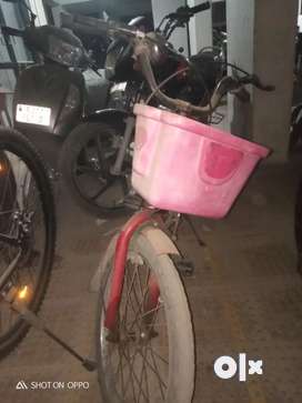 Olx cycle 2024 under 500